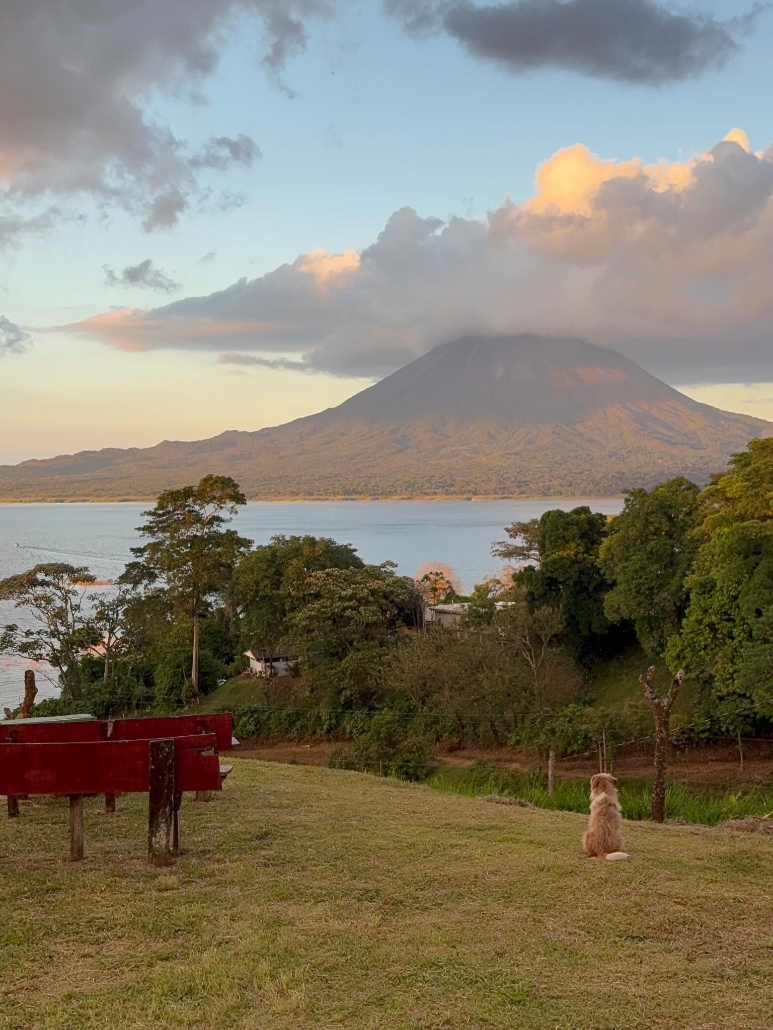 Vista de Volcán Arenal