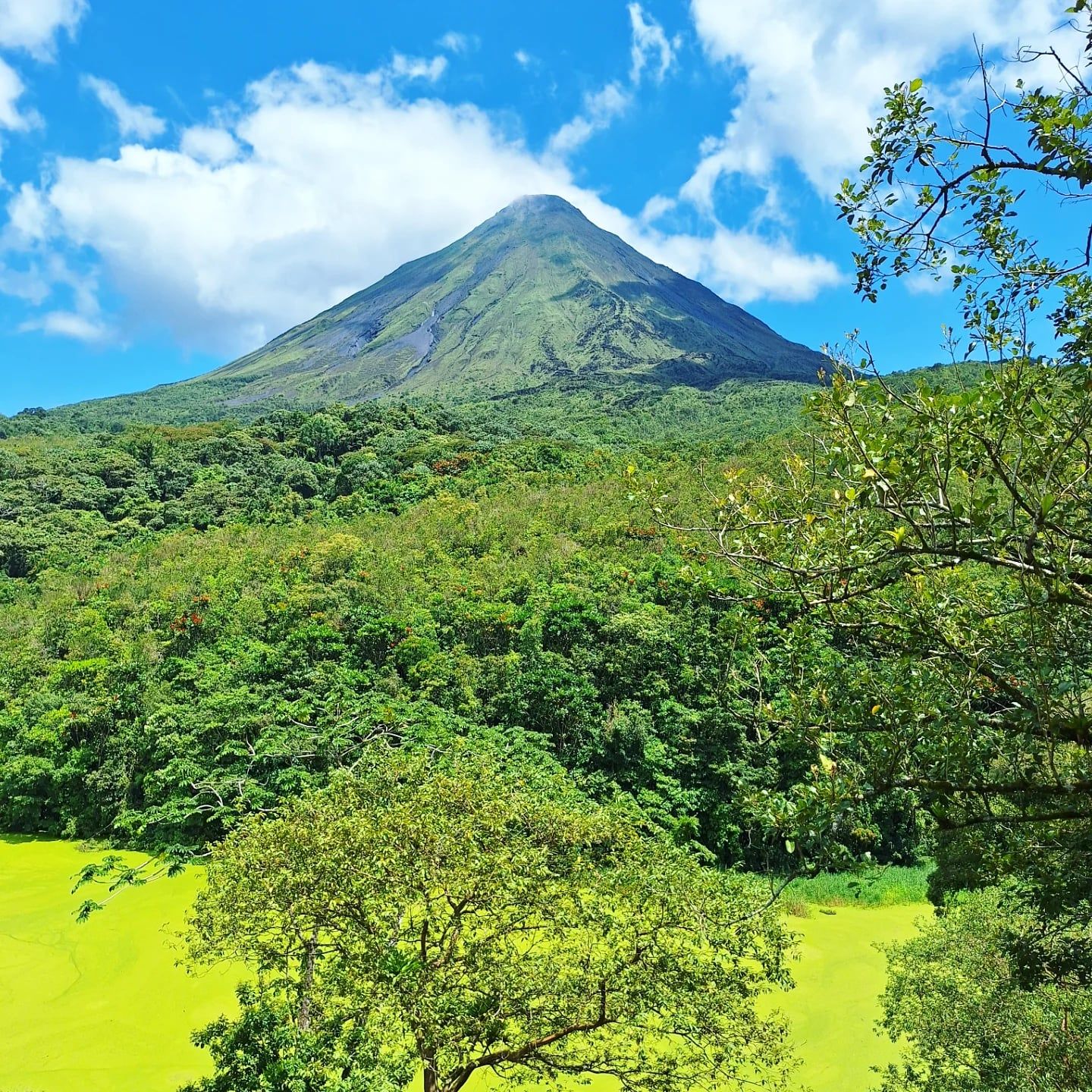 Vista de Volcán Arenal